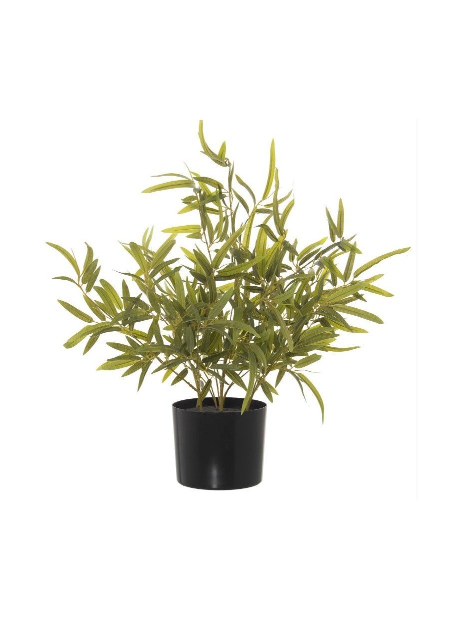 Planta Filomena Bambú 60cm